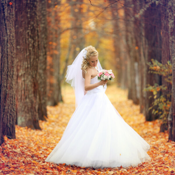 Wedding Dress Dry Cleaning