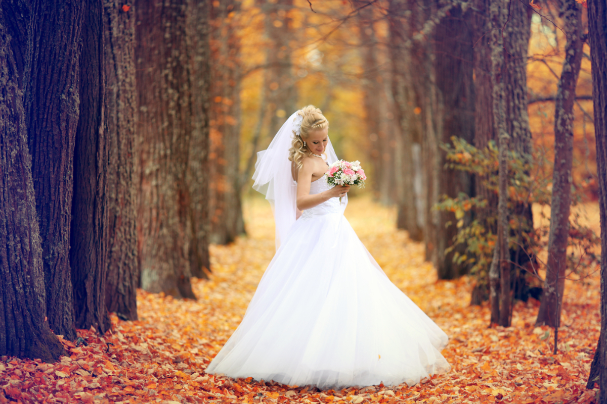 Wedding Dress Dry Cleaning